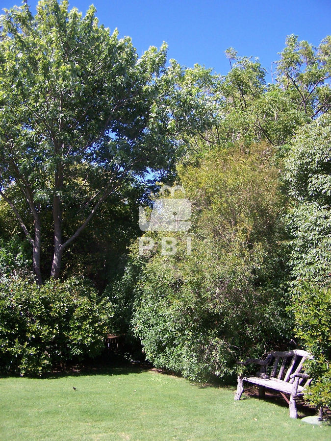 La Barra - GoPunta - Portal Inmobiliario de Punta del Este - Maldonado