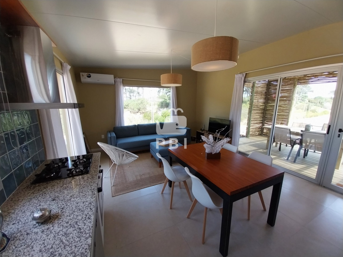 Chihuahua - GoPunta - Portal Inmobiliario de Punta del Este - Maldonado