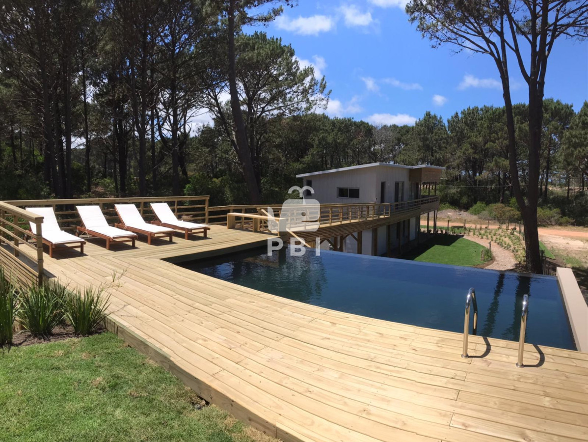 Chihuahua - GoPunta - Portal Inmobiliario de Punta del Este - Maldonado
