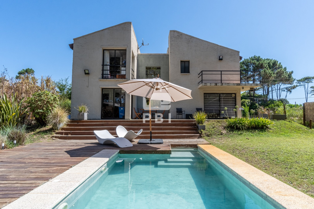 Chihuahua - GoPunta - Portal Inmobiliario de Punta del Este - Maldonado