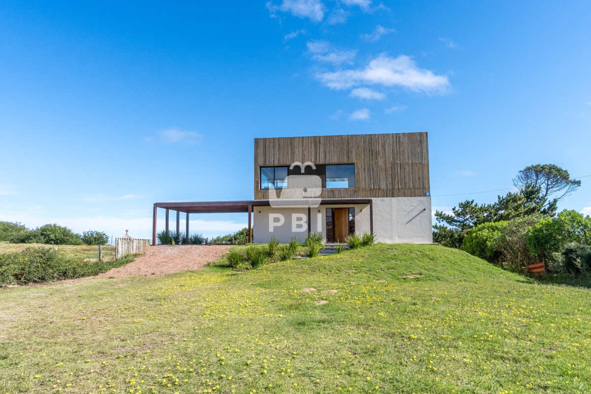 Chihuahua - GoPunta - Portal Inmobiliario de Punta del Este - Maldonado