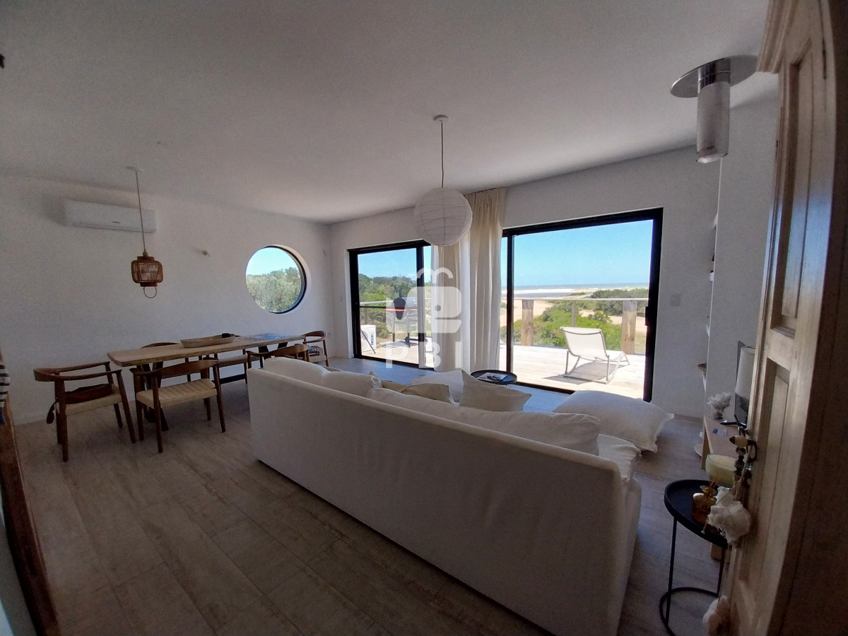 Chihuahua - GoPunta - Portal Inmobiliario de Punta del Este - Maldonado