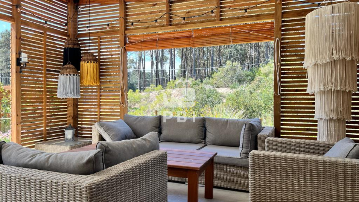 Chihuahua - GoPunta - Portal Inmobiliario de Punta del Este - Maldonado