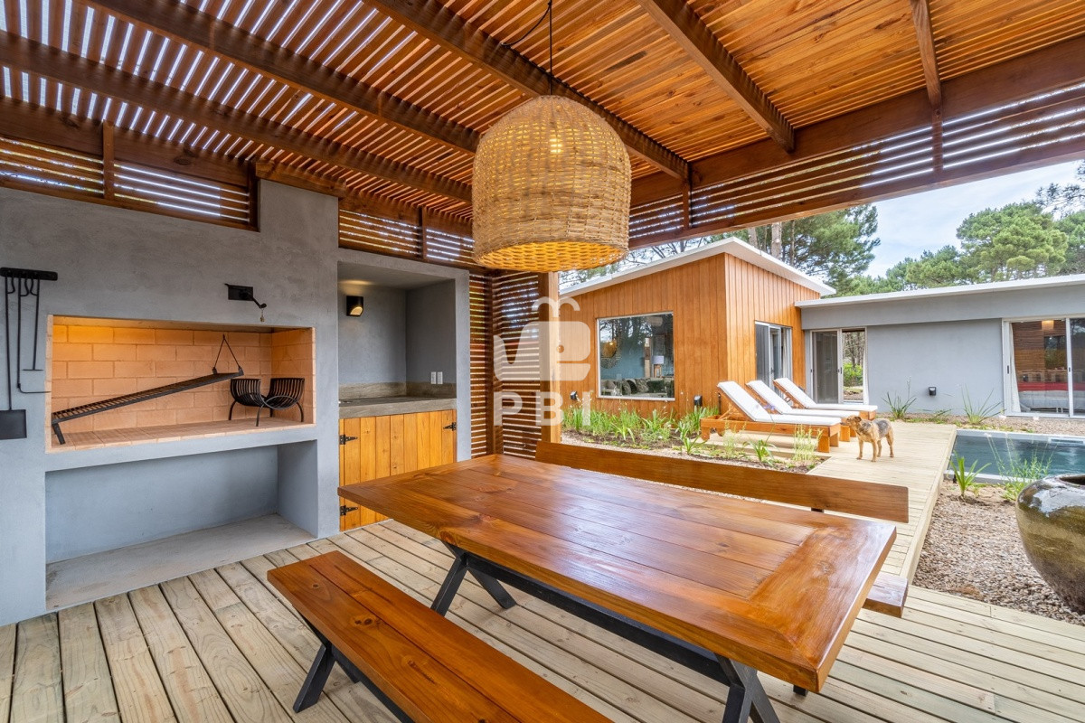 Chihuahua - GoPunta - Portal Inmobiliario de Punta del Este - Maldonado