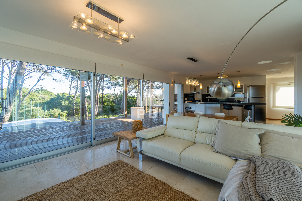 Chihuahua - GoPunta - Portal Inmobiliario de Punta del Este - Maldonado