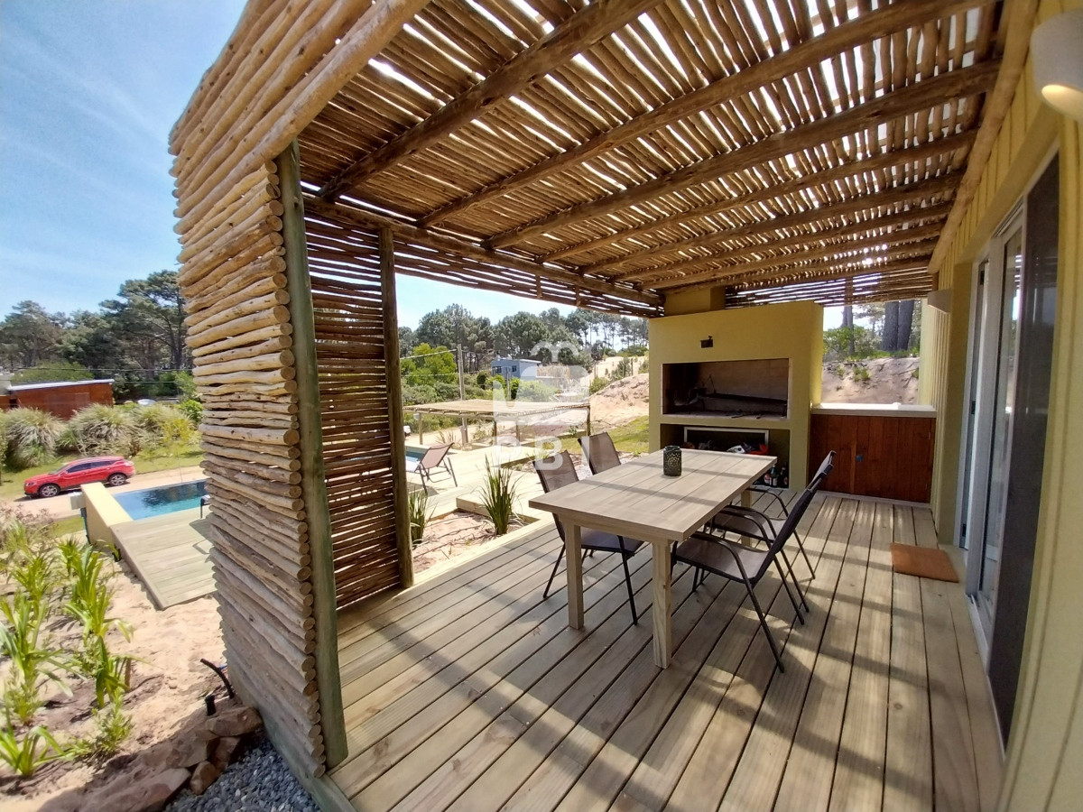 Chihuahua - GoPunta - Portal Inmobiliario de Punta del Este - Maldonado