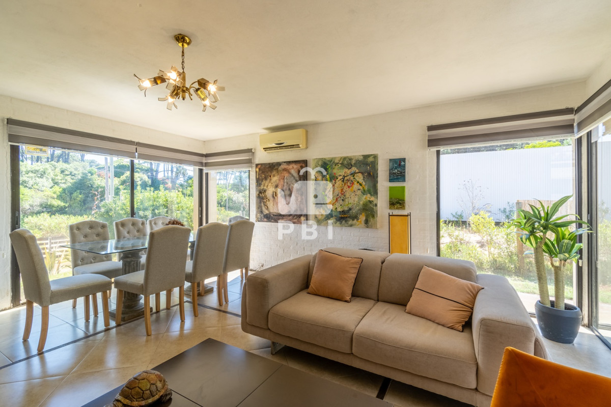 Chihuahua - GoPunta - Portal Inmobiliario de Punta del Este - Maldonado