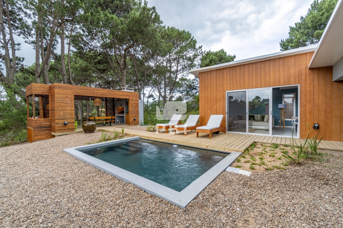 Chihuahua - GoPunta - Portal Inmobiliario de Punta del Este - Maldonado