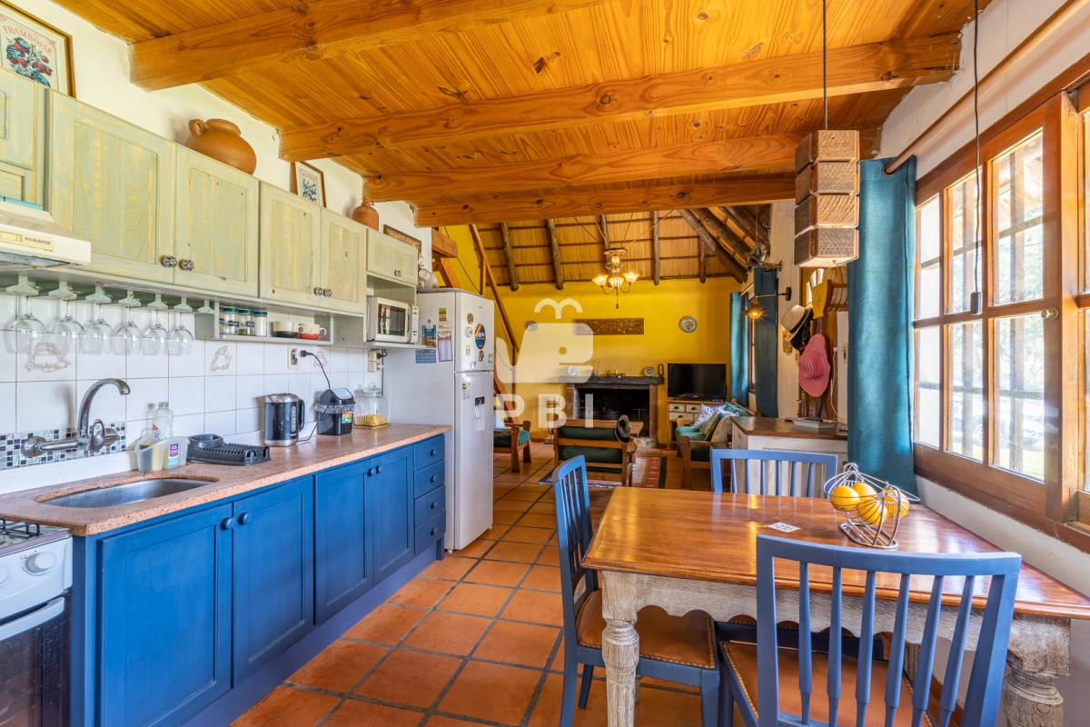 Tio Tom - GoPunta - Portal Inmobiliario de Punta del Este - Maldonado