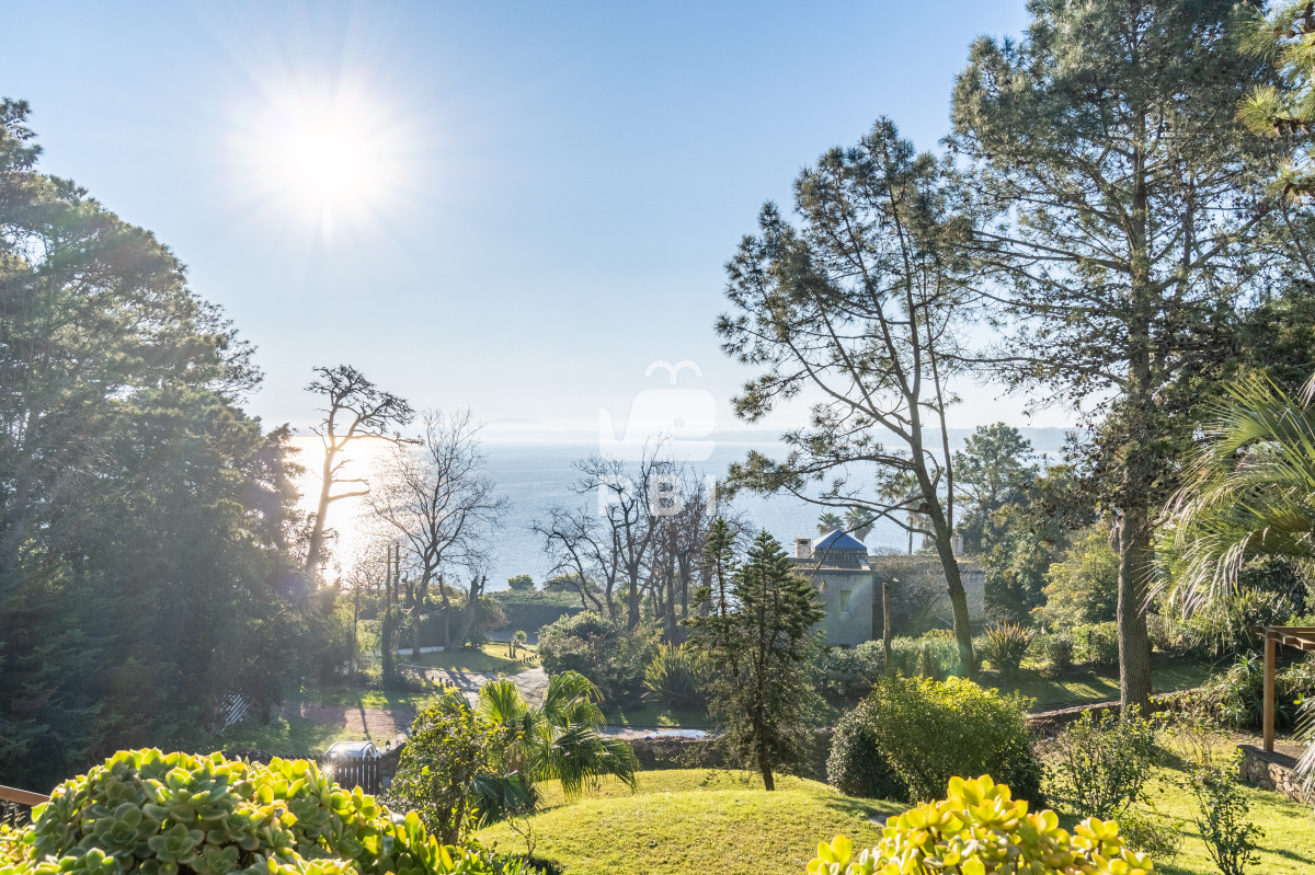 Lomo de la Ballena - GoPunta - Portal Inmobiliario de Punta del Este - Maldonado