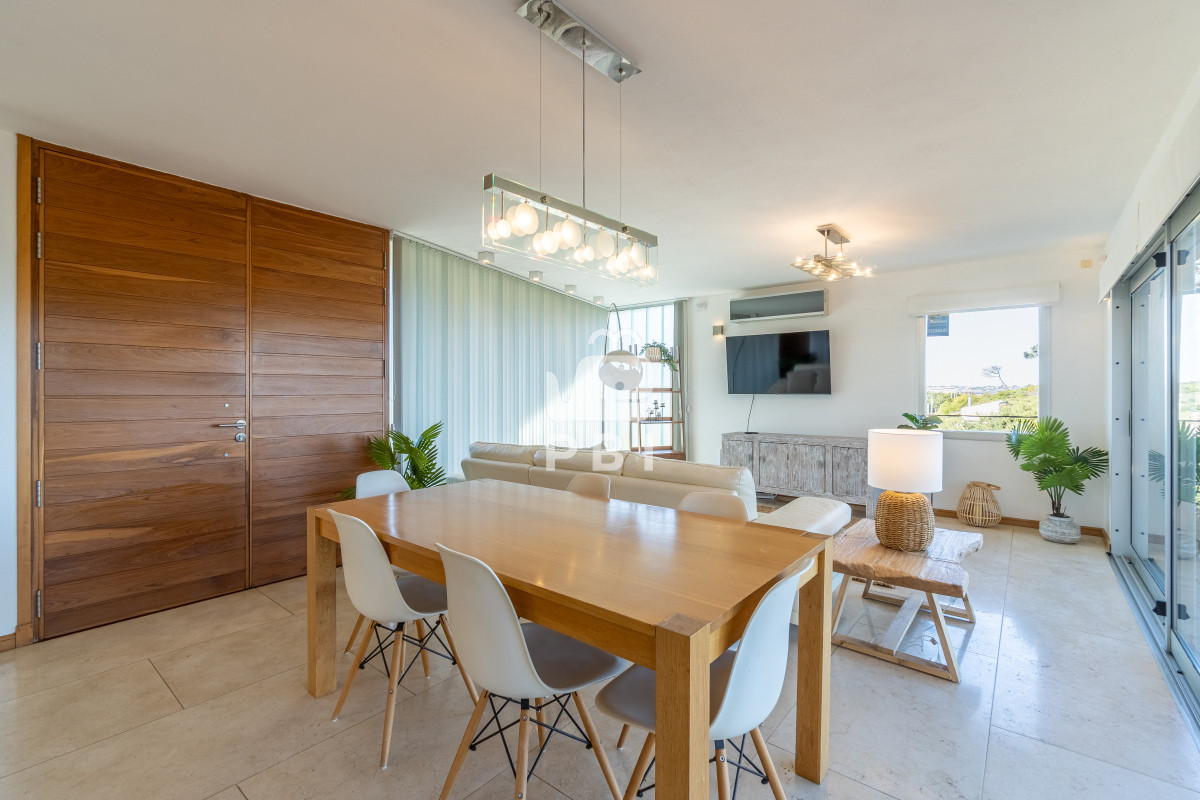 Chihuahua - GoPunta - Portal Inmobiliario de Punta del Este - Maldonado