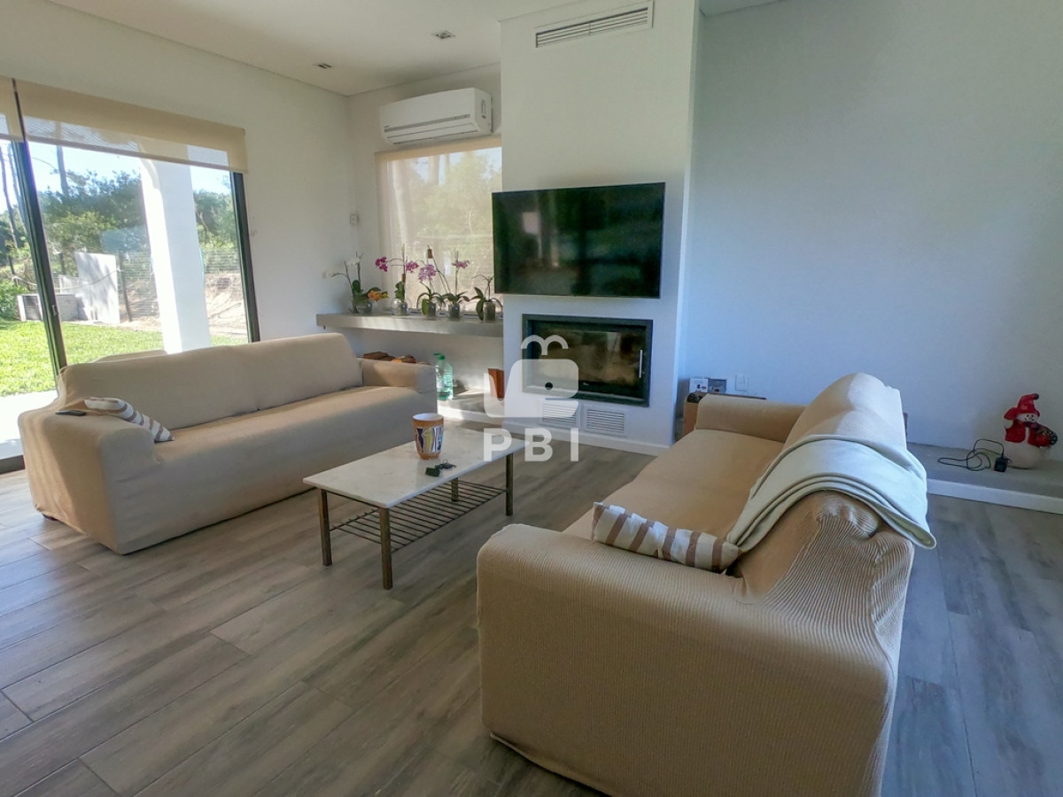 Chihuahua - GoPunta - Portal Inmobiliario de Punta del Este - Maldonado