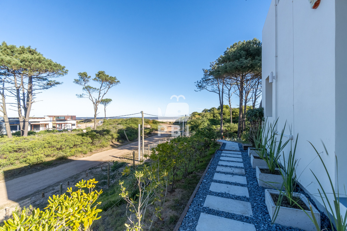 Chihuahua - GoPunta - Portal Inmobiliario de Punta del Este - Maldonado