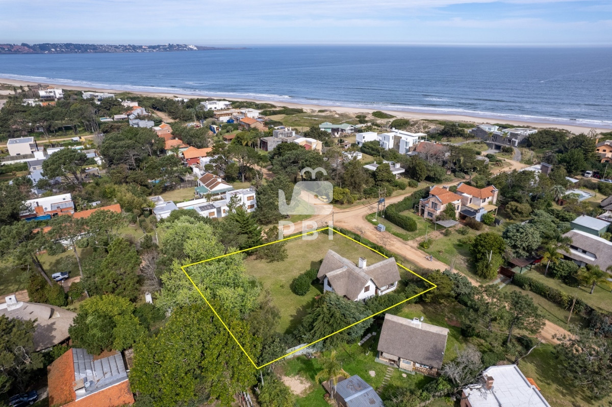 Tio Tom - GoPunta - Portal Inmobiliario de Punta del Este - Maldonado