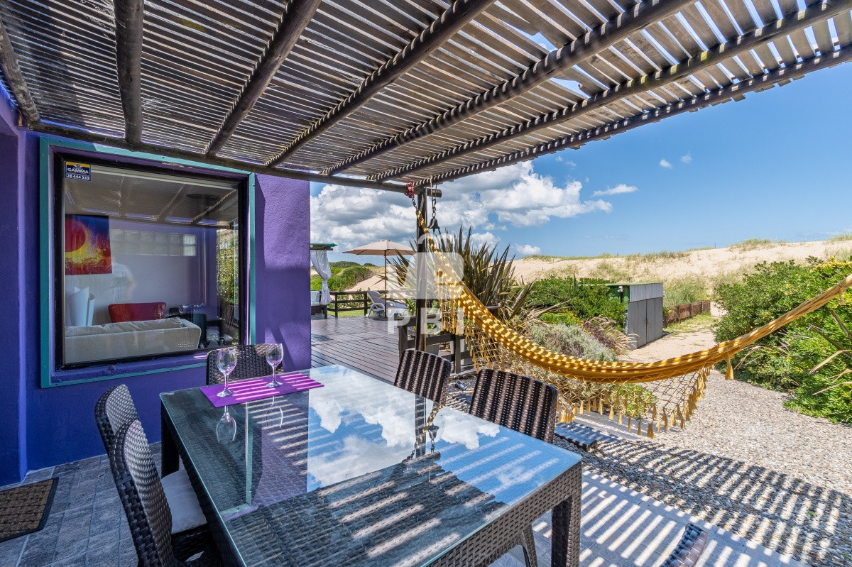 Chihuahua - GoPunta - Portal Inmobiliario de Punta del Este - Maldonado