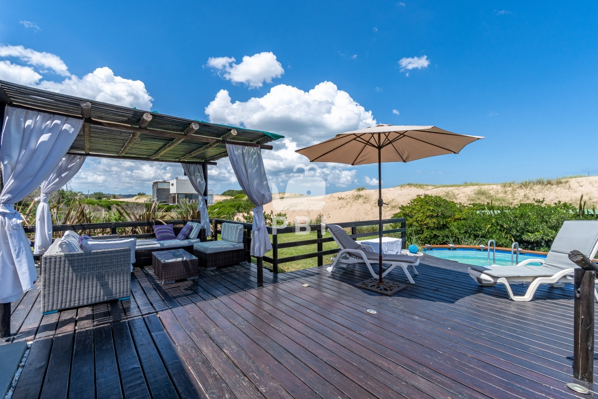 Chihuahua - GoPunta - Portal Inmobiliario de Punta del Este - Maldonado