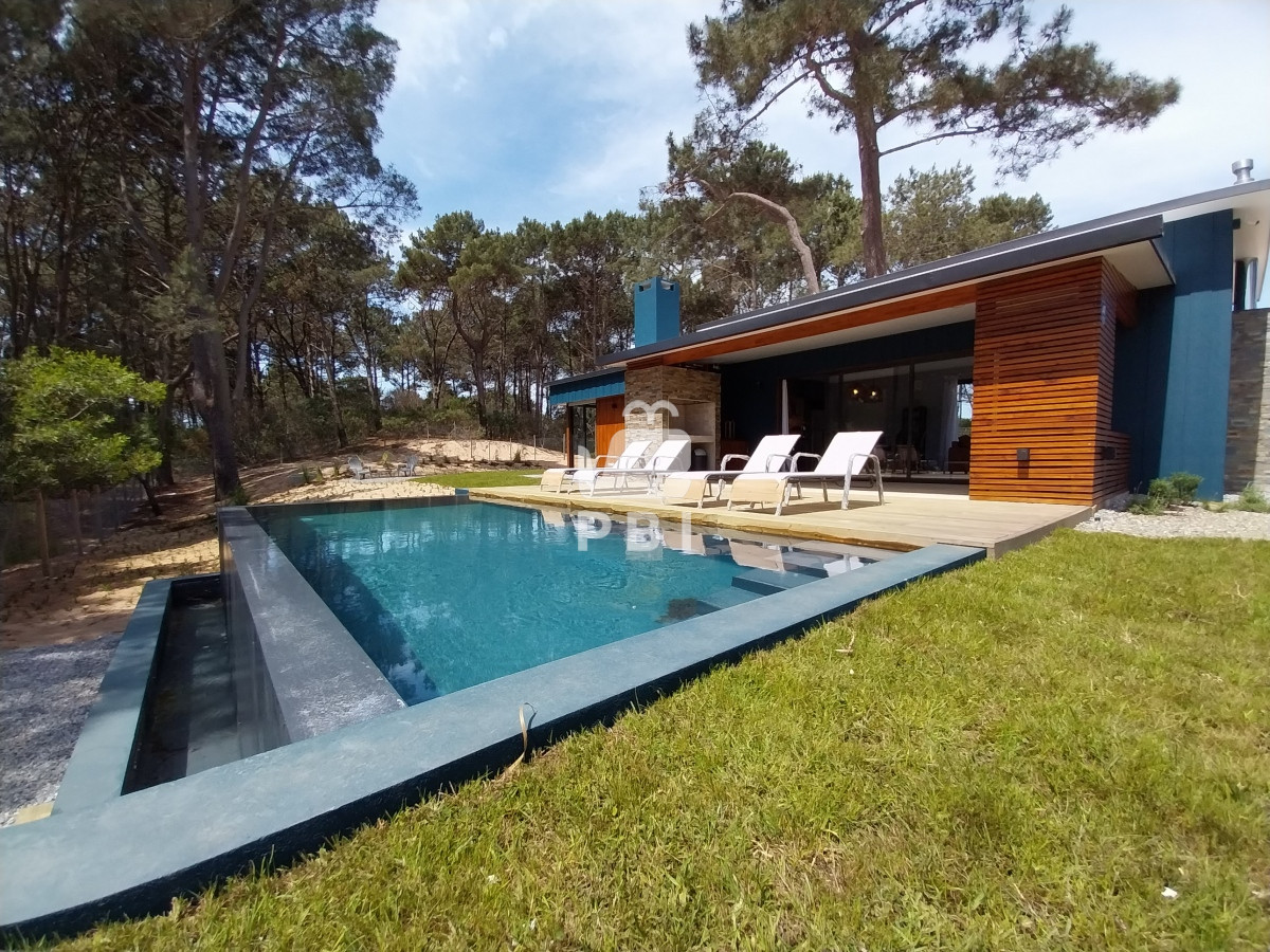 Chihuahua - GoPunta - Portal Inmobiliario de Punta del Este - Maldonado