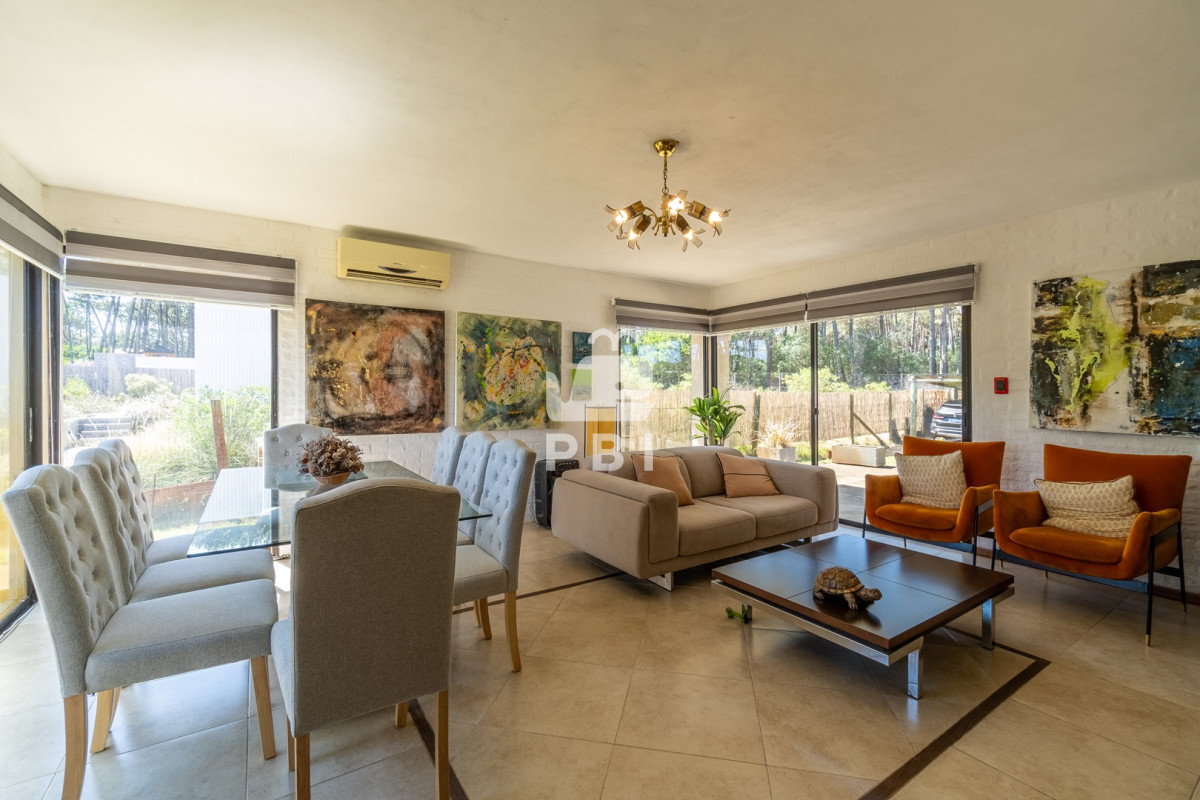 Chihuahua - GoPunta - Portal Inmobiliario de Punta del Este - Maldonado