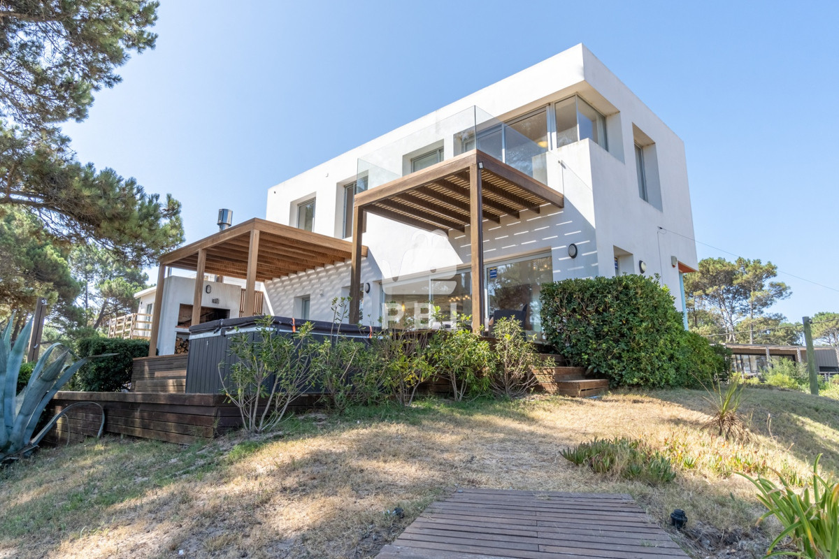 Chihuahua - GoPunta - Portal Inmobiliario de Punta del Este - Maldonado