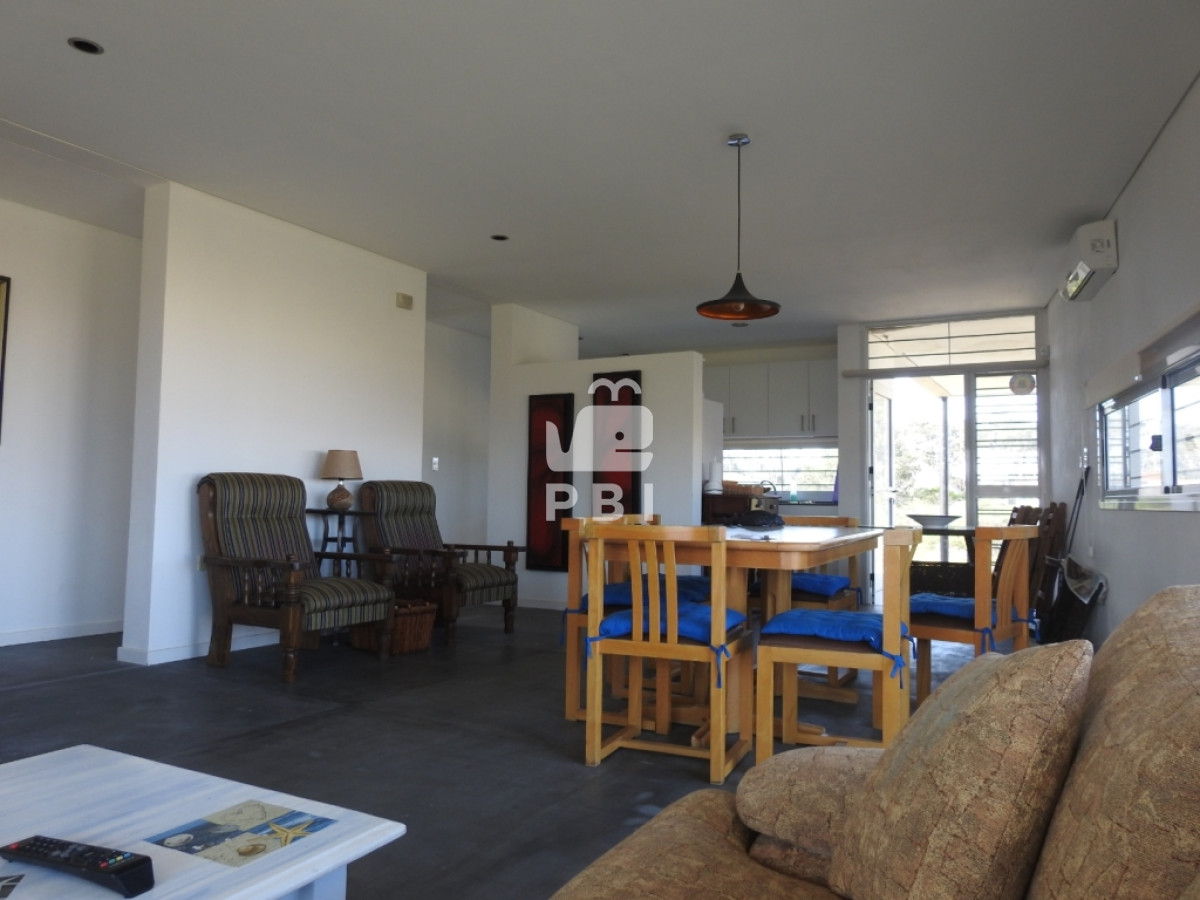 Chihuahua - GoPunta - Portal Inmobiliario de Punta del Este - Maldonado