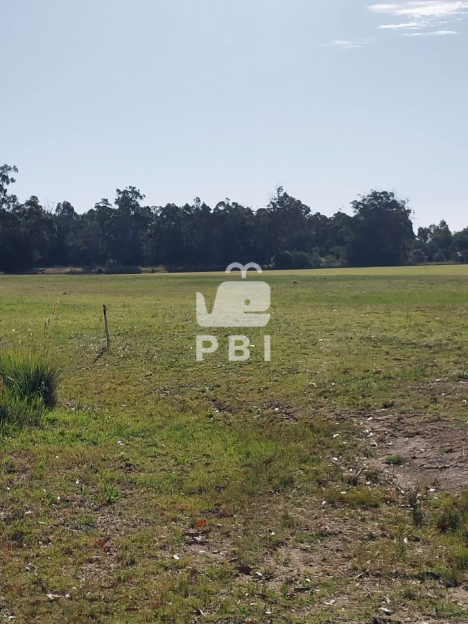 Q2FzYSA0IERPUk1JVE9SSU9TIGVuIEVkZW4gUm9jaywgTWFsZG9uYWRvIC0gUmVmIDogUEJJMTMxNTk=