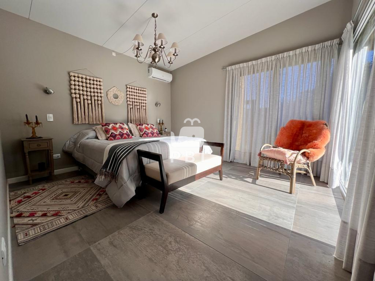 Chihuahua - GoPunta - Portal Inmobiliario de Punta del Este - Maldonado