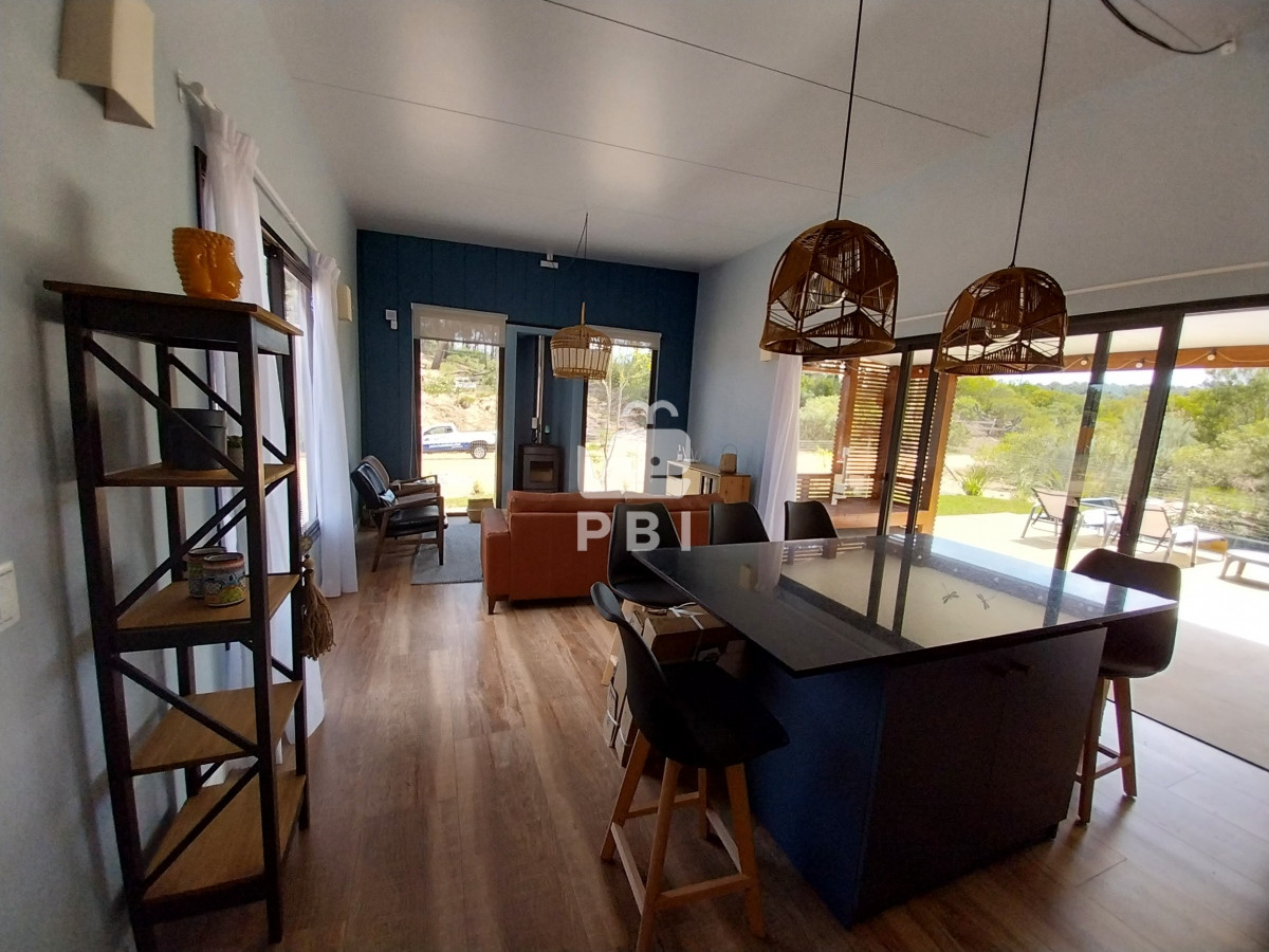 Chihuahua - GoPunta - Portal Inmobiliario de Punta del Este - Maldonado