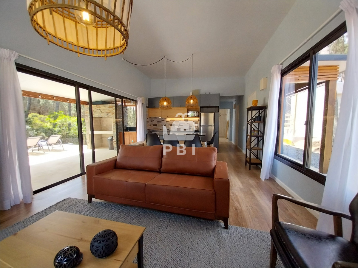 Chihuahua - GoPunta - Portal Inmobiliario de Punta del Este - Maldonado