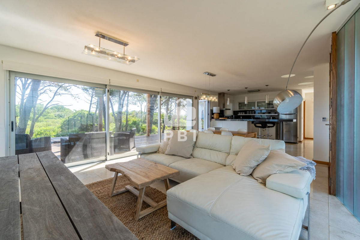 Chihuahua - GoPunta - Portal Inmobiliario de Punta del Este - Maldonado
