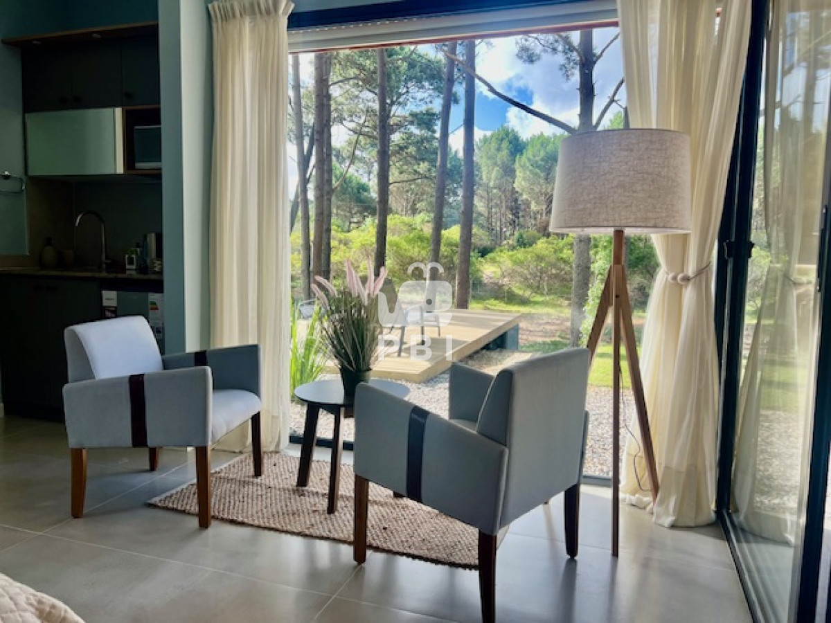 Chihuahua - GoPunta - Portal Inmobiliario de Punta del Este - Maldonado