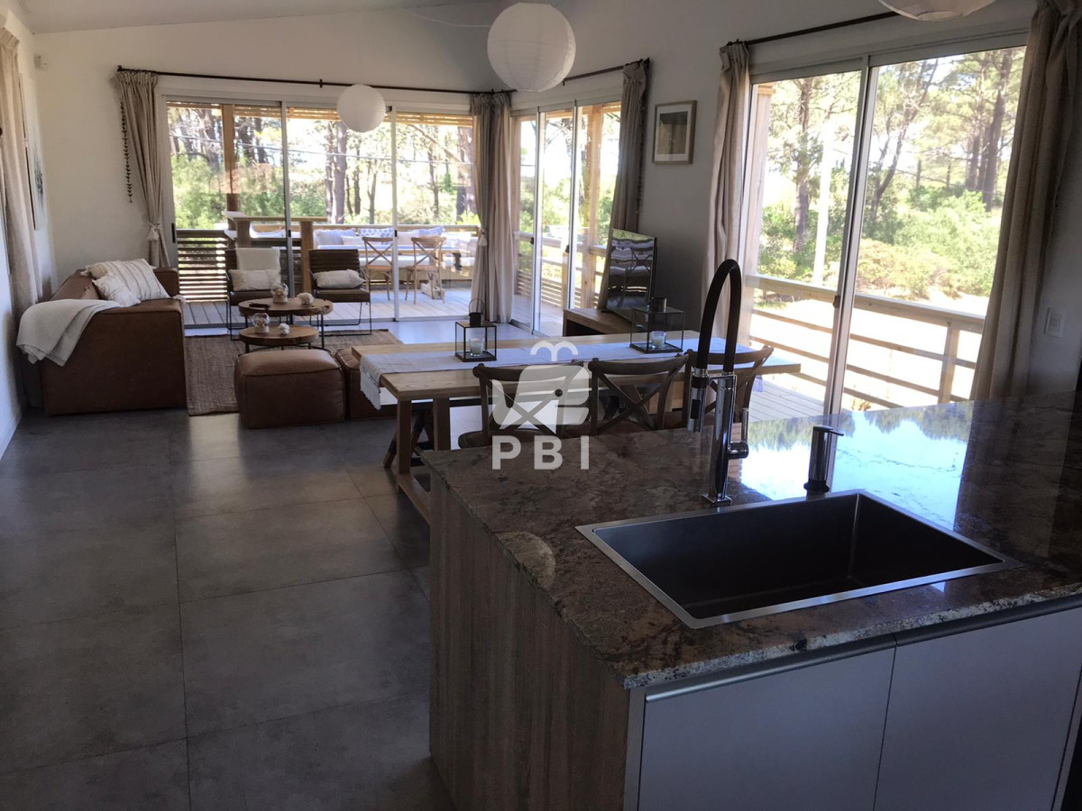 Chihuahua - GoPunta - Portal Inmobiliario de Punta del Este - Maldonado