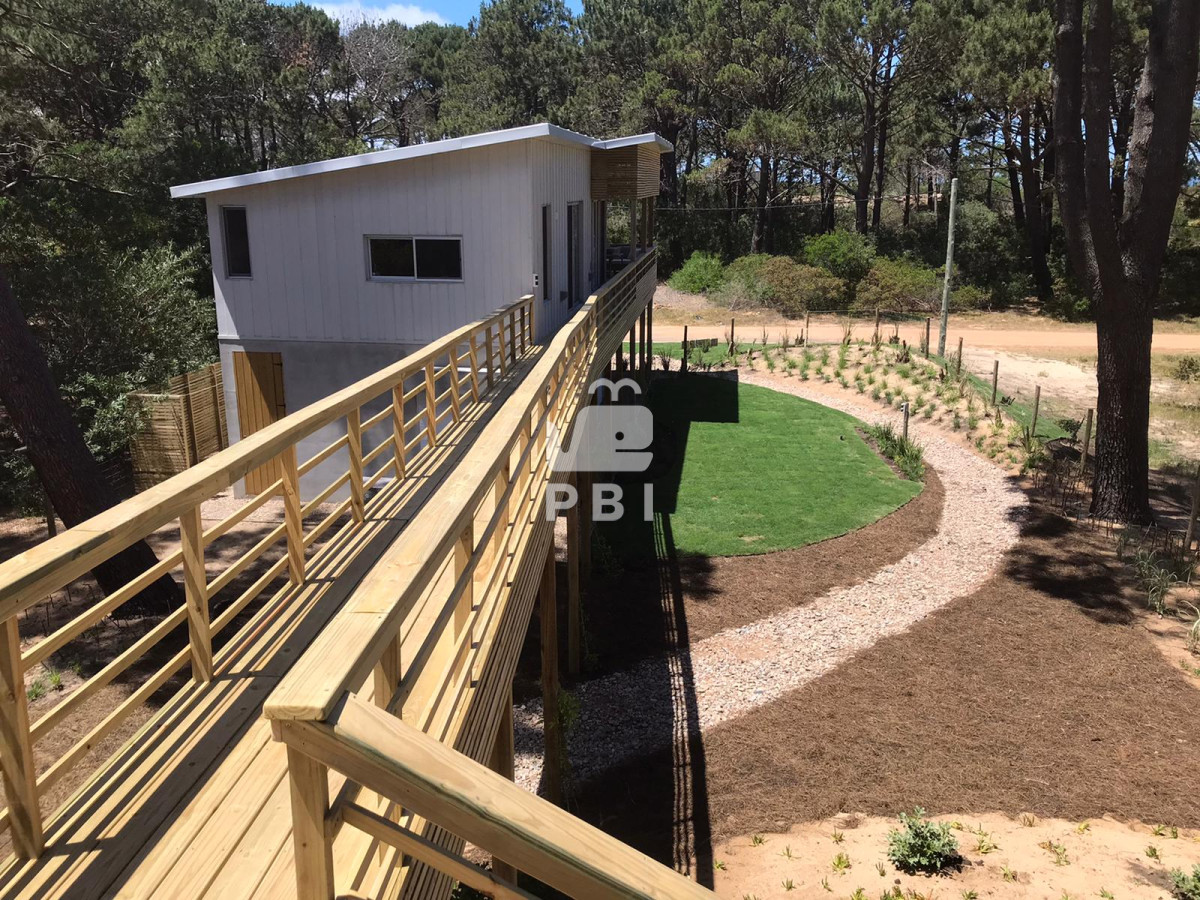 Chihuahua - GoPunta - Portal Inmobiliario de Punta del Este - Maldonado