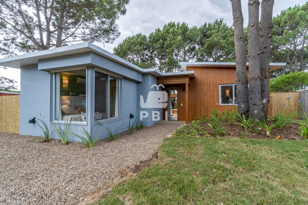 Chihuahua - GoPunta - Portal Inmobiliario de Punta del Este - Maldonado