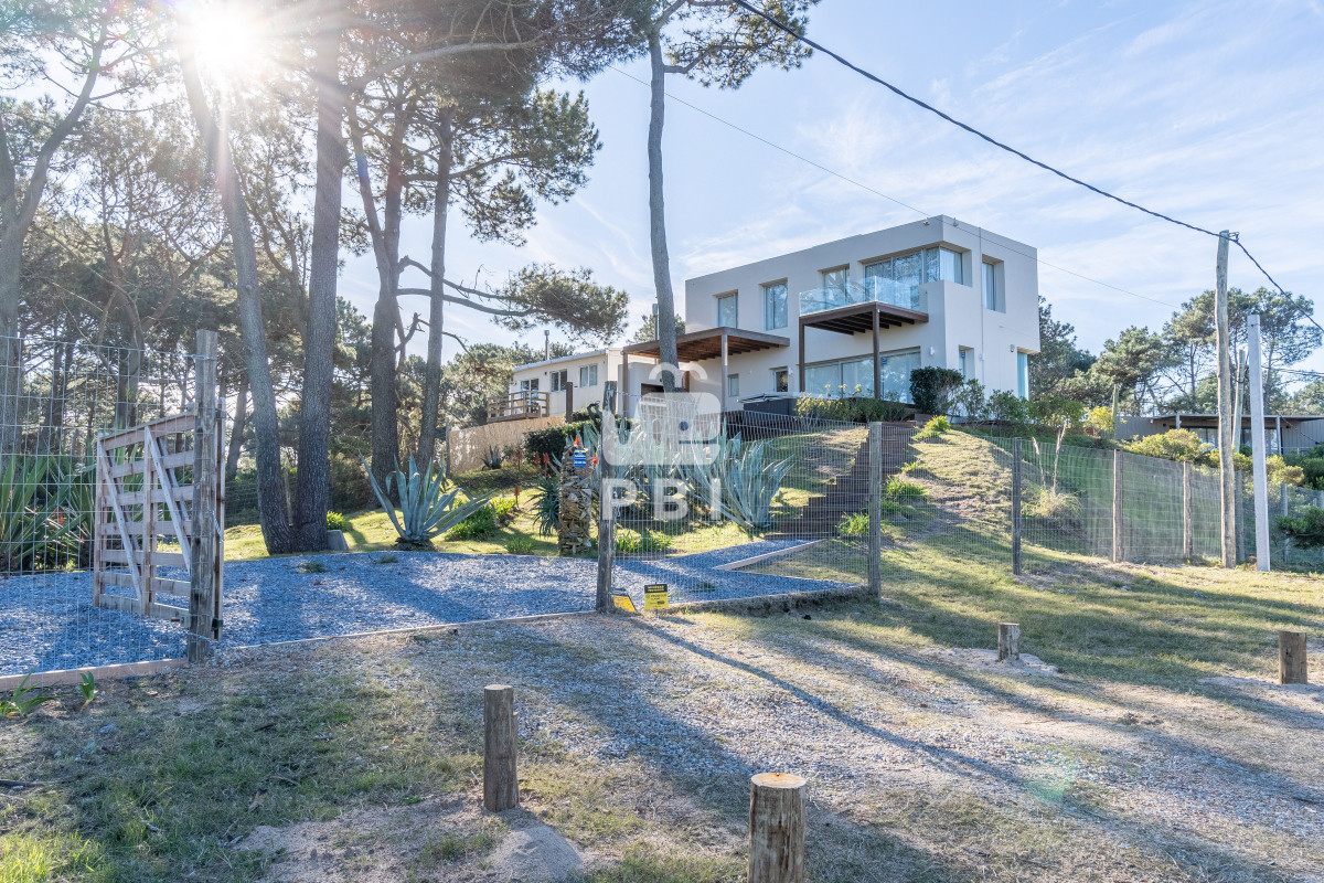 Chihuahua - GoPunta - Portal Inmobiliario de Punta del Este - Maldonado
