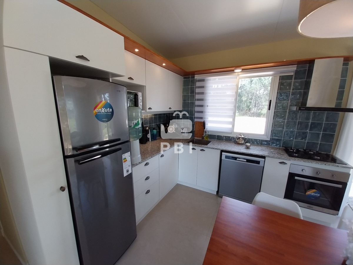 Chihuahua - GoPunta - Portal Inmobiliario de Punta del Este - Maldonado