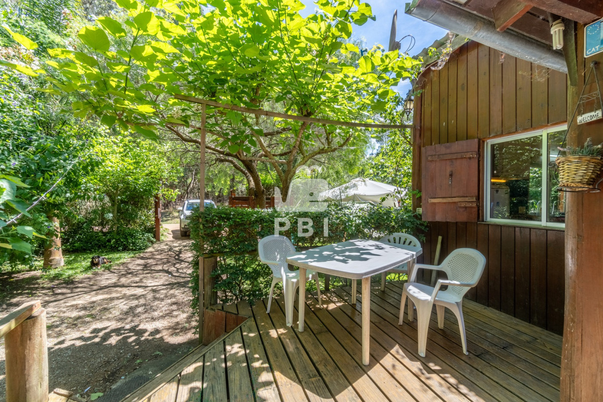 Sauce de Portezuelo - GoPunta - Portal Inmobiliario de Punta del Este - Maldonado