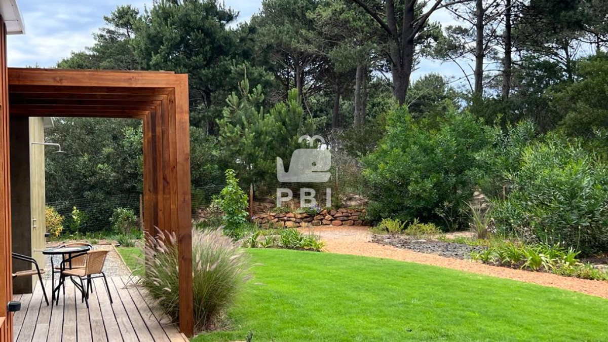 Chihuahua - GoPunta - Portal Inmobiliario de Punta del Este - Maldonado