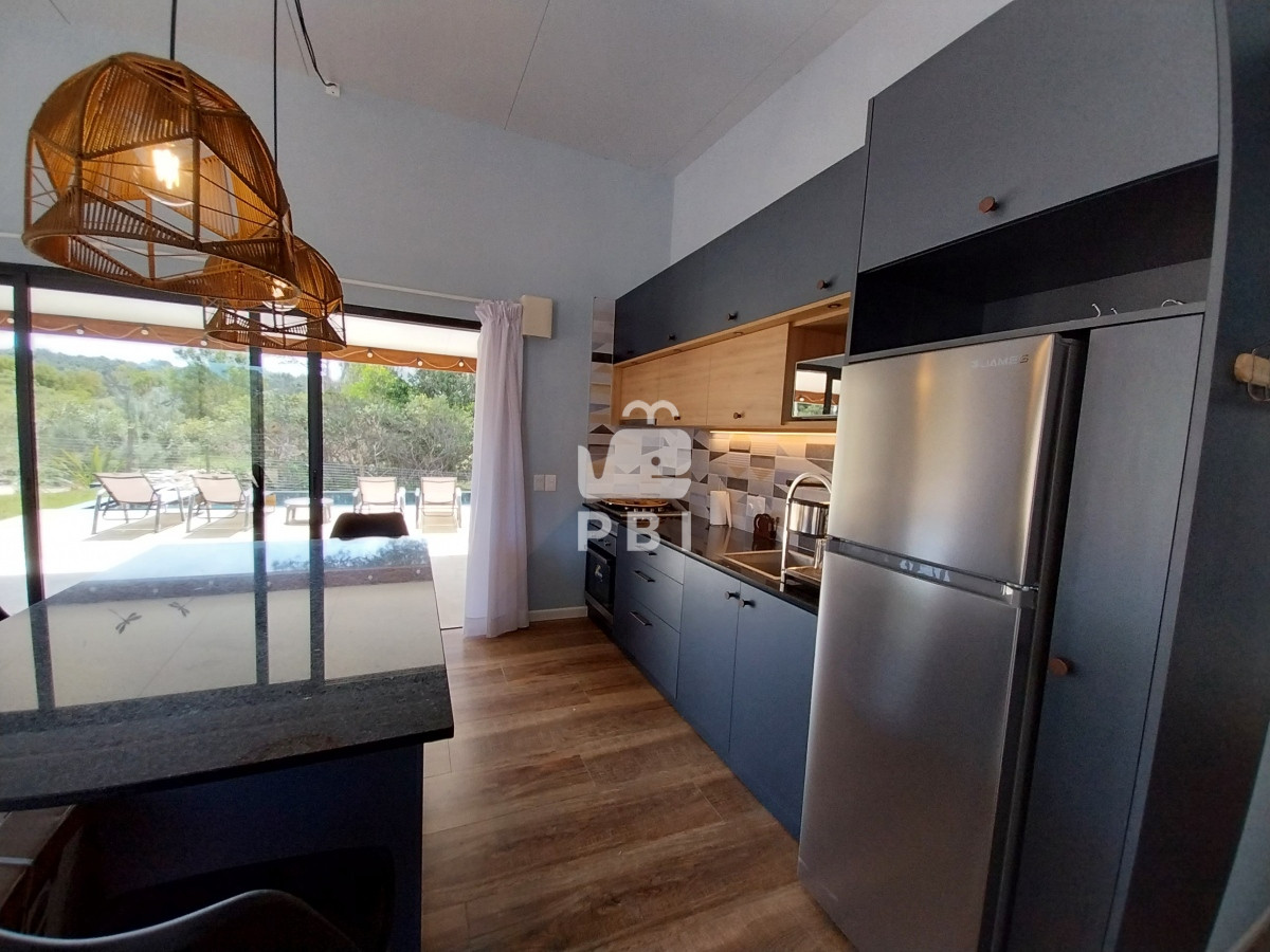 Chihuahua - GoPunta - Portal Inmobiliario de Punta del Este - Maldonado