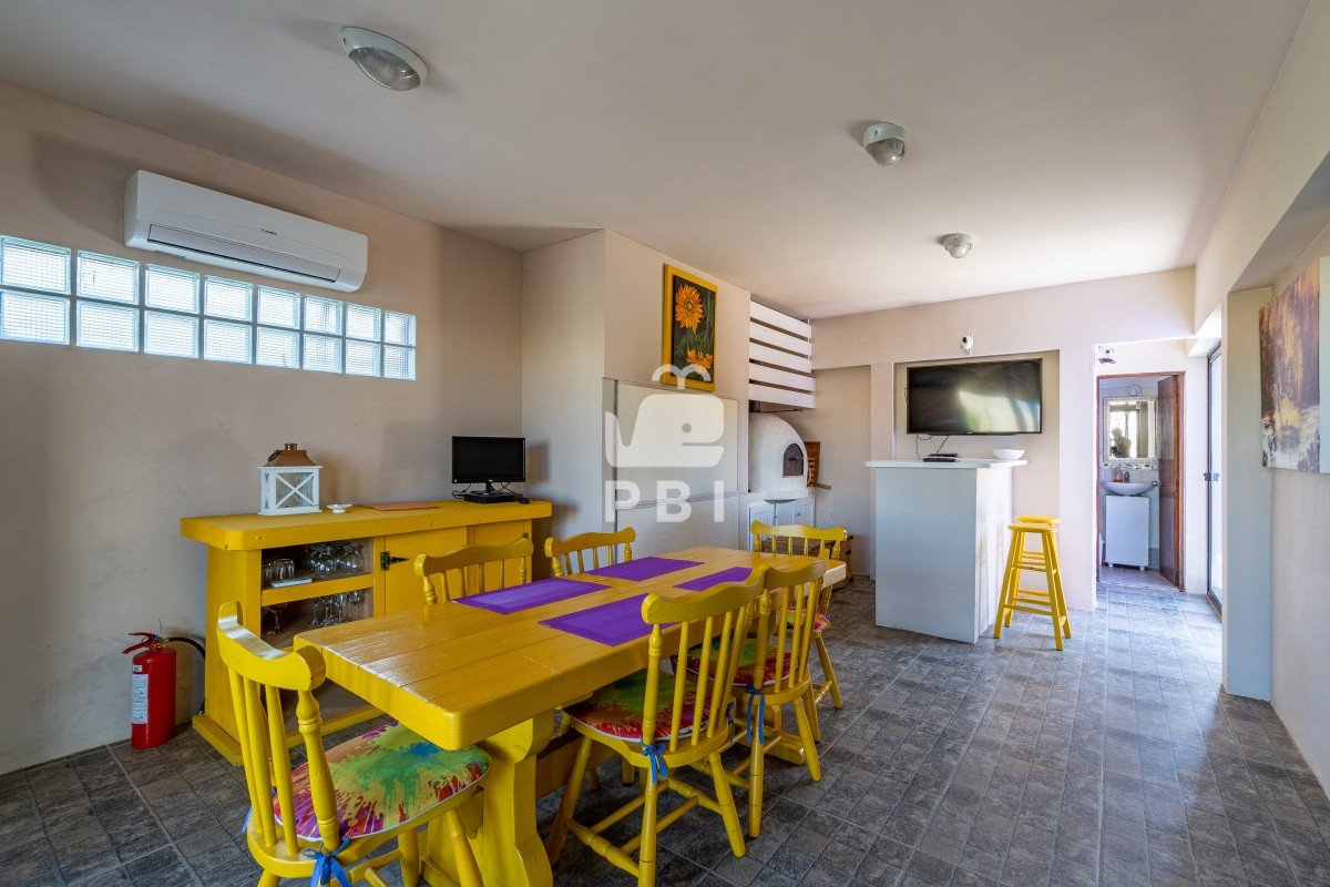 Chihuahua - GoPunta - Portal Inmobiliario de Punta del Este - Maldonado