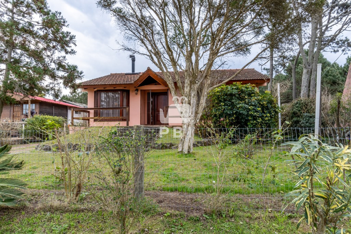 Tio Tom - GoPunta - Portal Inmobiliario de Punta del Este - Maldonado