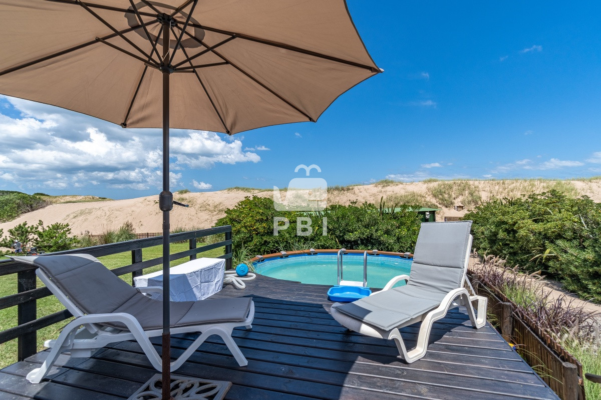 Chihuahua - GoPunta - Portal Inmobiliario de Punta del Este - Maldonado