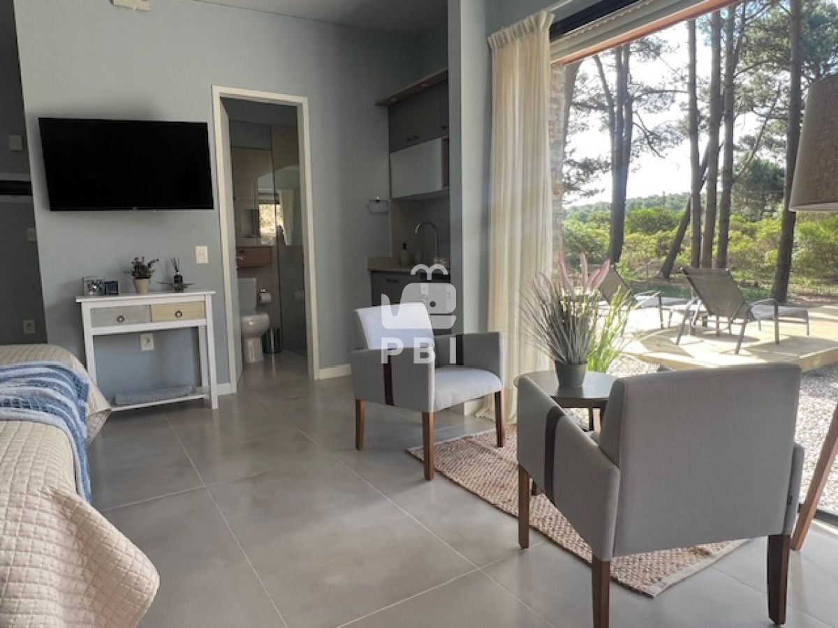 Chihuahua - GoPunta - Portal Inmobiliario de Punta del Este - Maldonado