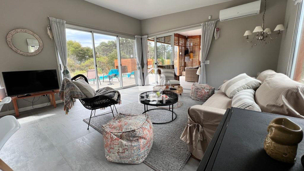 Chihuahua - GoPunta - Portal Inmobiliario de Punta del Este - Maldonado