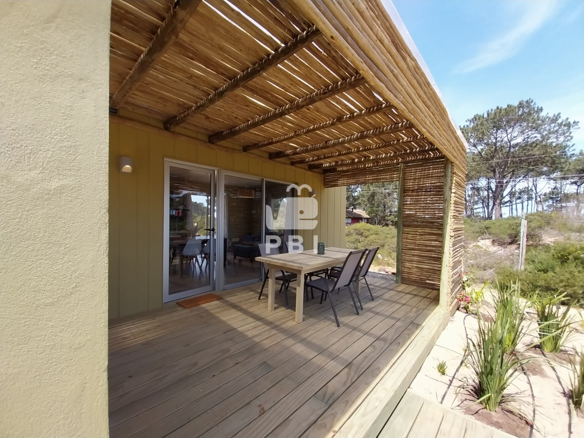 Chihuahua - GoPunta - Portal Inmobiliario de Punta del Este - Maldonado