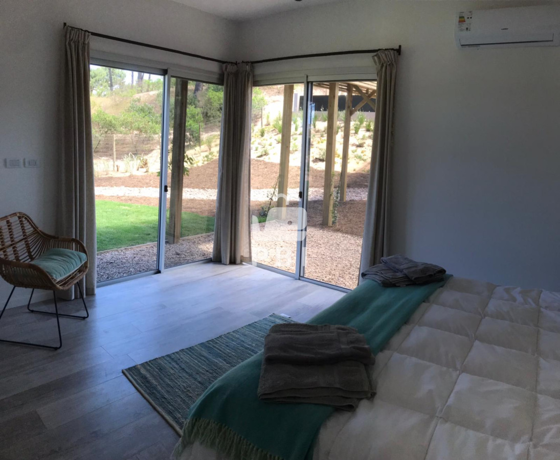 Chihuahua - GoPunta - Portal Inmobiliario de Punta del Este - Maldonado
