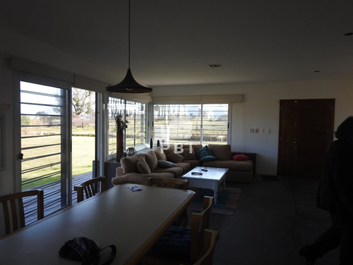 Chihuahua - GoPunta - Portal Inmobiliario de Punta del Este - Maldonado