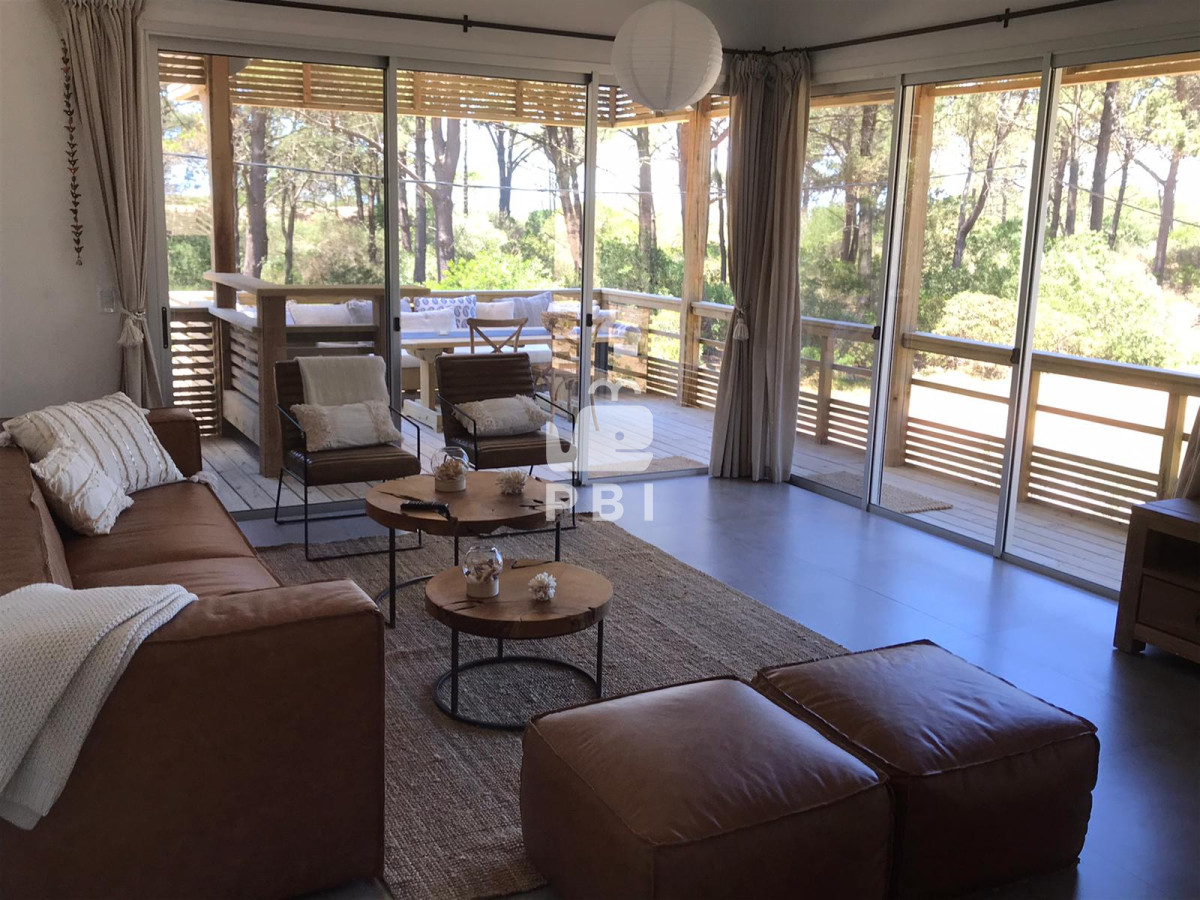 Chihuahua - GoPunta - Portal Inmobiliario de Punta del Este - Maldonado