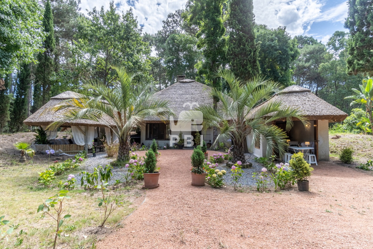 Portezuelo Bosque - GoPunta - Portal Inmobiliario de Punta del Este - Maldonado
