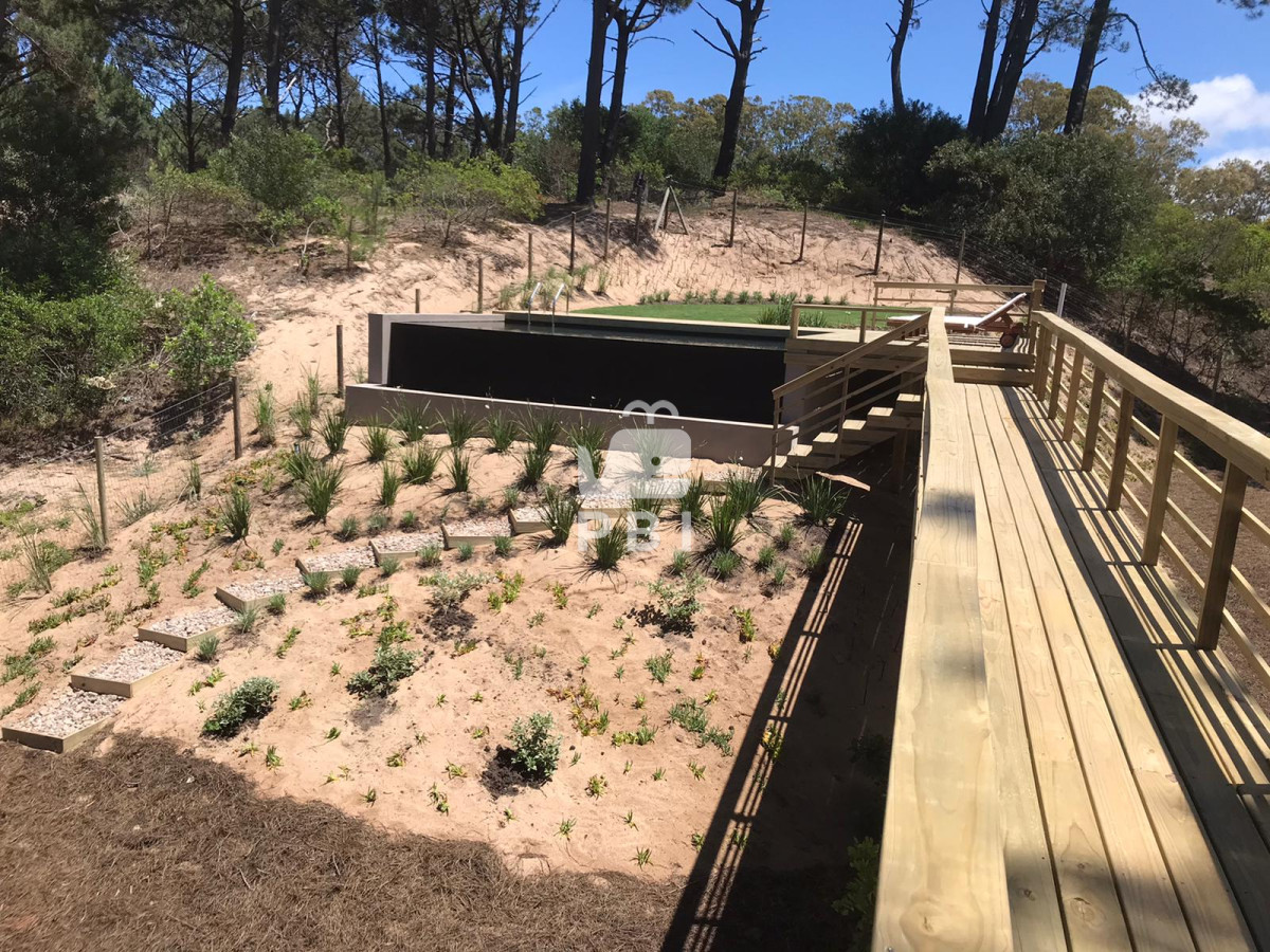 Chihuahua - GoPunta - Portal Inmobiliario de Punta del Este - Maldonado