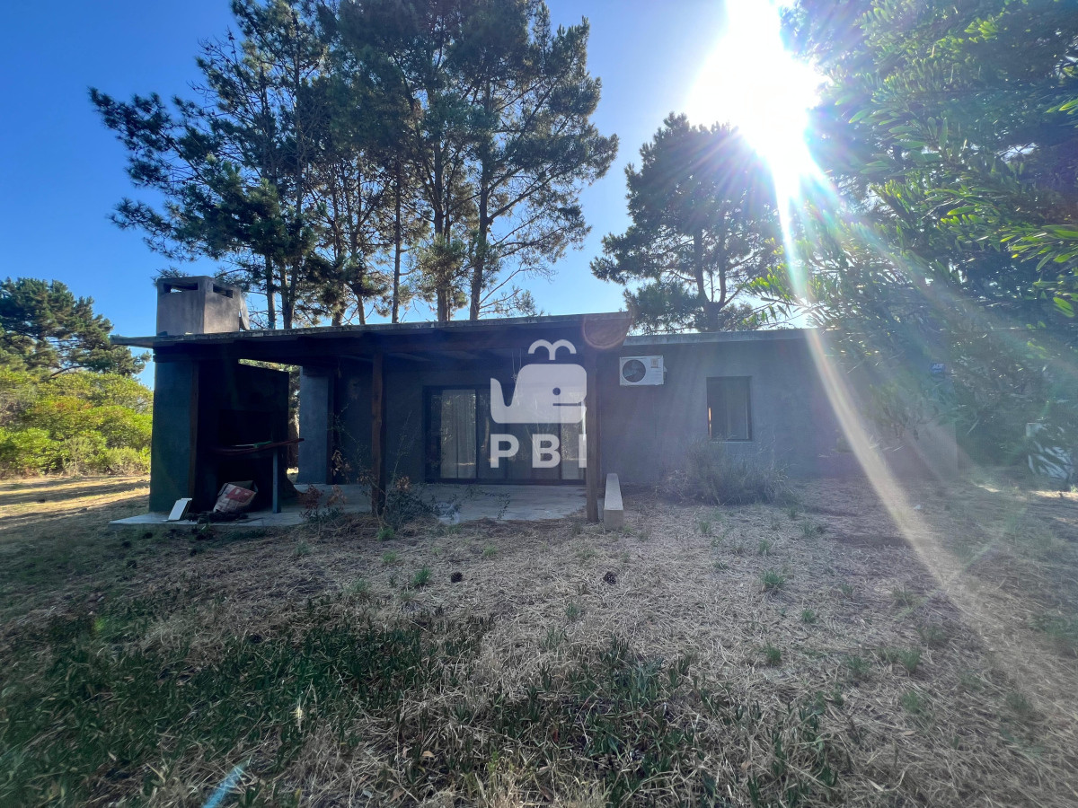 Chihuahua - GoPunta - Portal Inmobiliario de Punta del Este - Maldonado